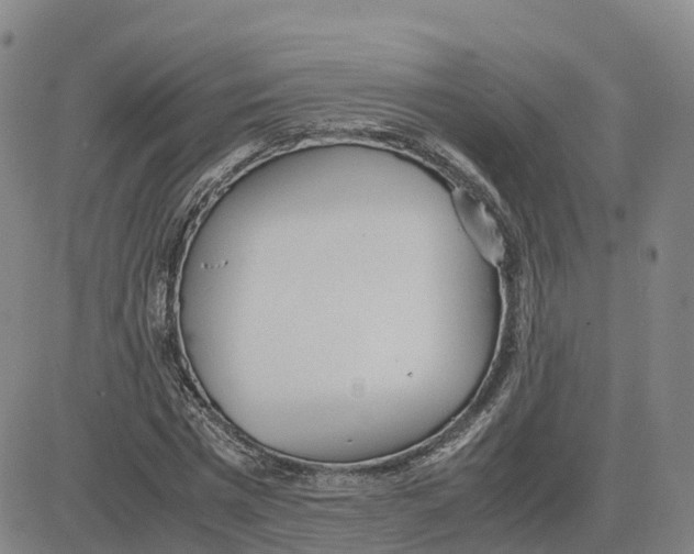 X0000083010777200702231811