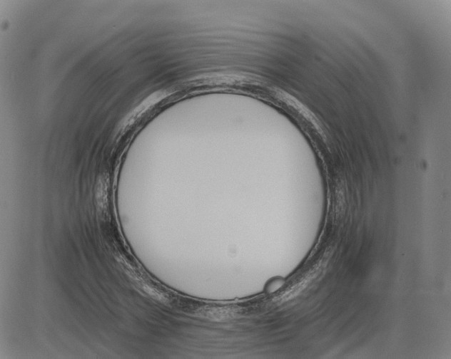 X0000083010778200702231811