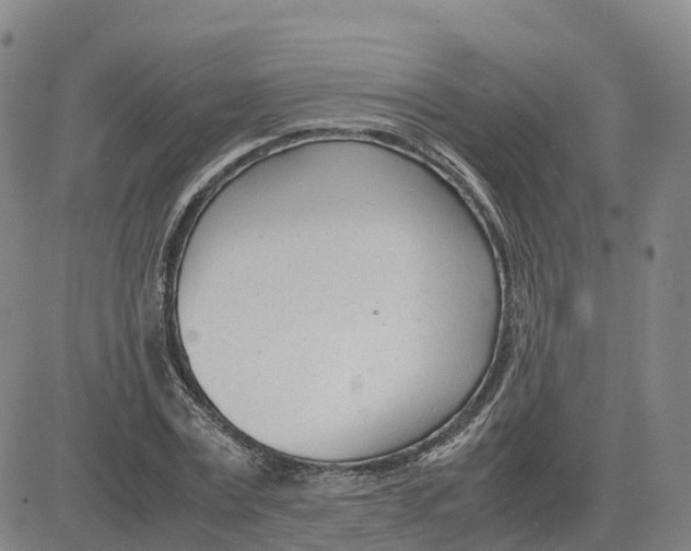 X0000083010779200702231811