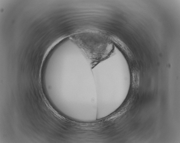 X0000083010780200702231811