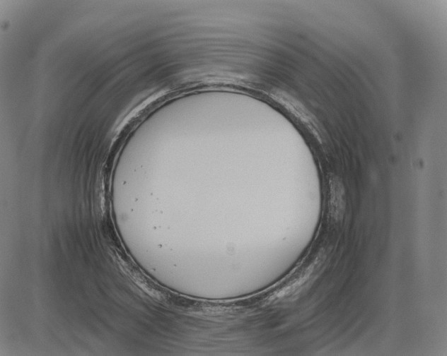 X0000083010782200702231811