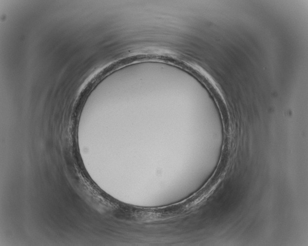 X0000083010783200702231811