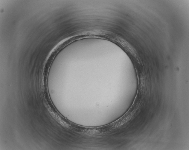 X0000083010784200702231811