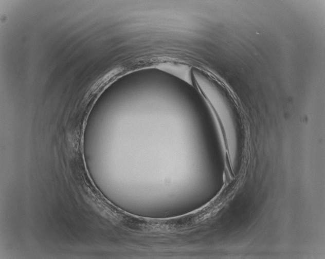 X0000083010785200702231811