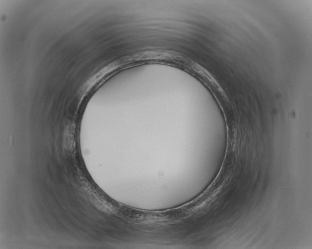 X0000083010786200702231811