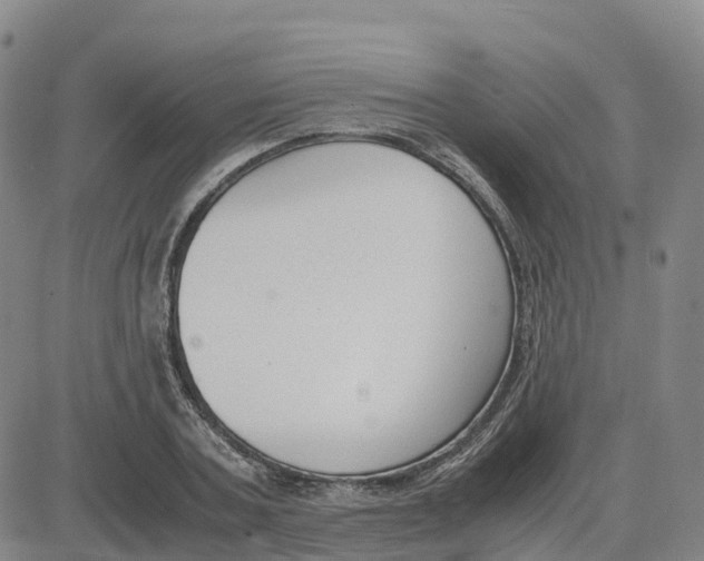 X0000083010787200702231811