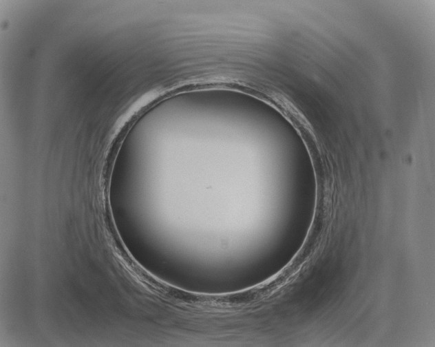 X0000083010789200702231811