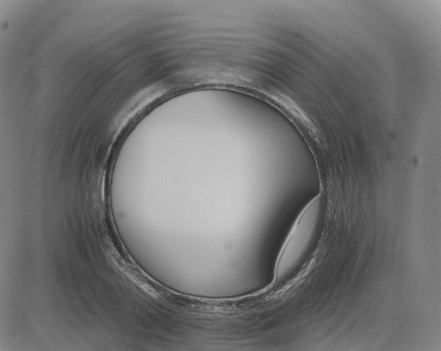 X0000083010790200702231811