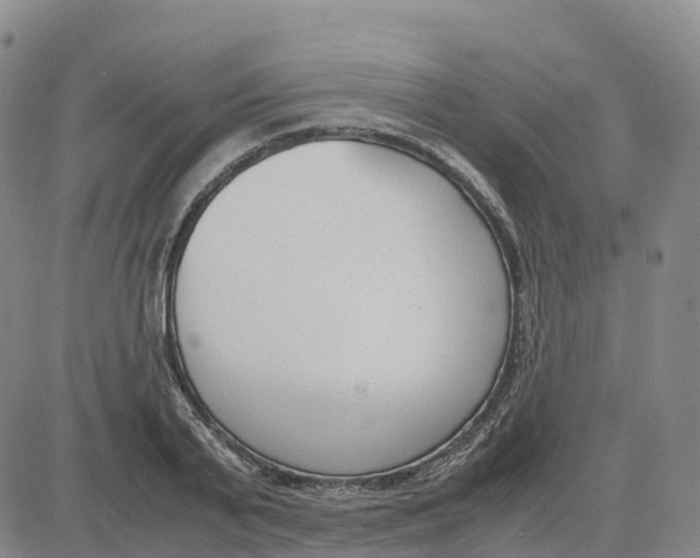 X0000083010791200702231811