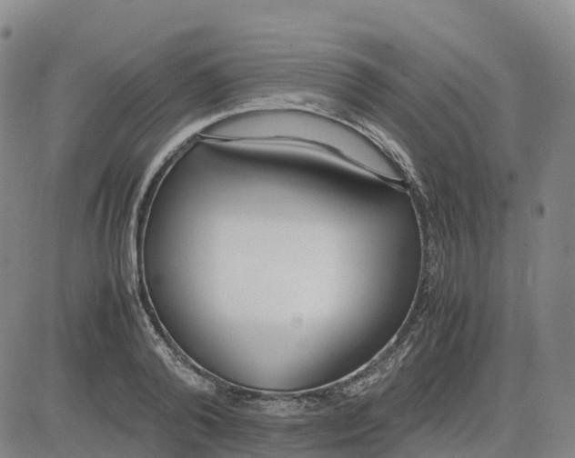 X0000083010792200702231811