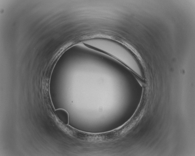 X0000083010793200702231811