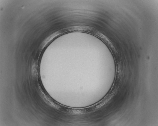 X0000083010794200702231811