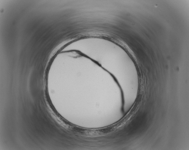 X0000083010795200702231811