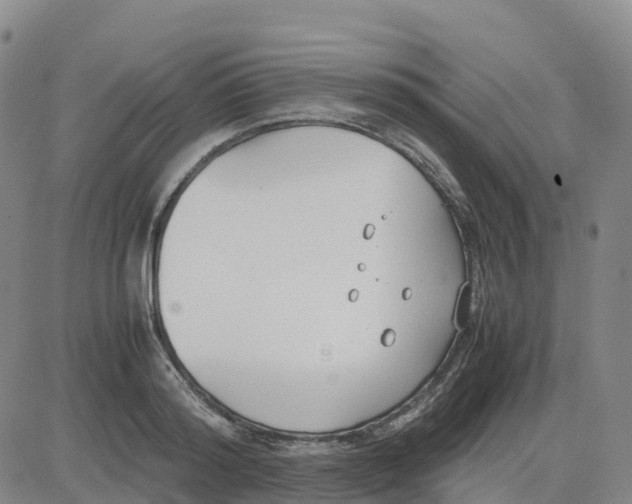 X0000083010796200702231811