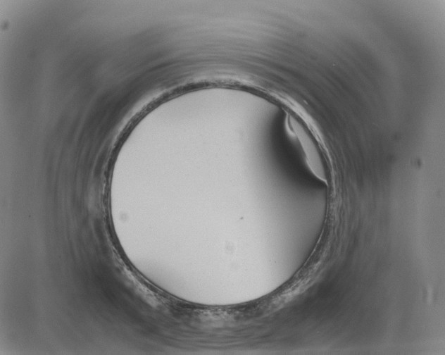 X0000083010799200702231811