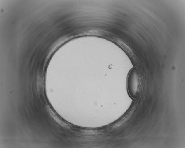 X0000083010800200702231811