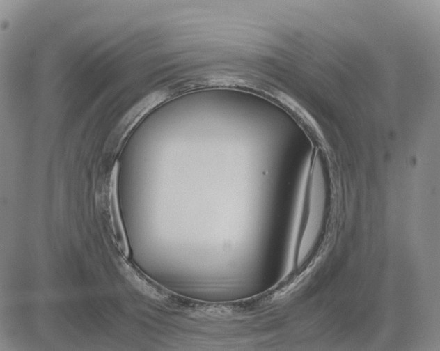 X0000083010801200702231811