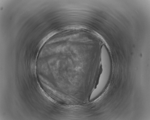 X0000083010802200702231811