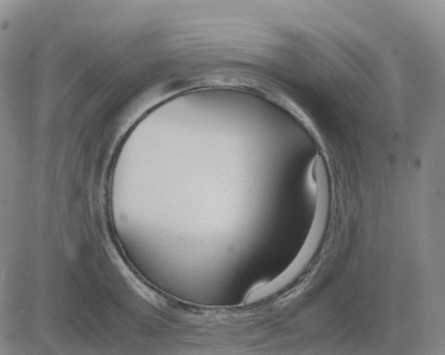 X0000083010803200702231811