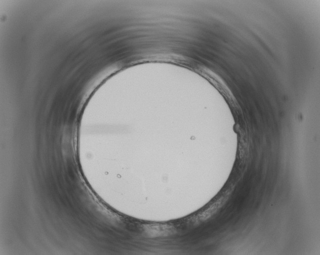 X0000083010804200702231811