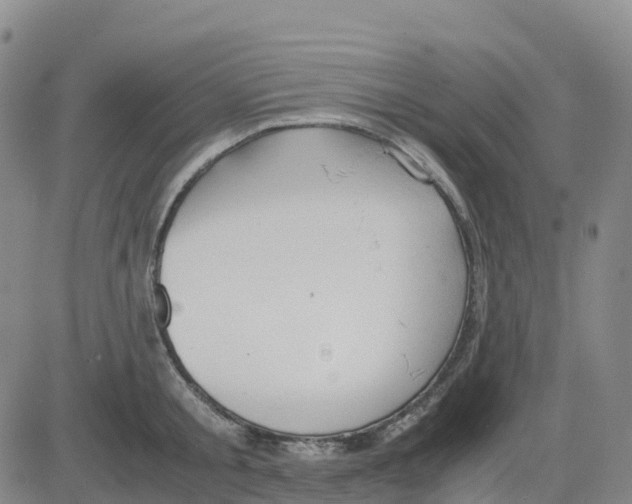 X0000083010805200702231811