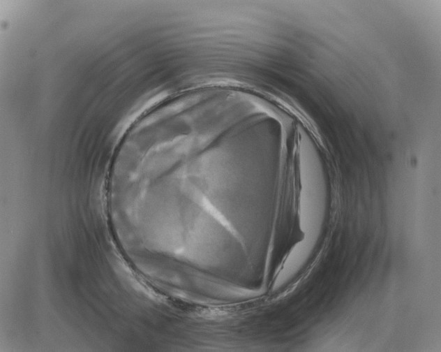 X0000083010806200702231811