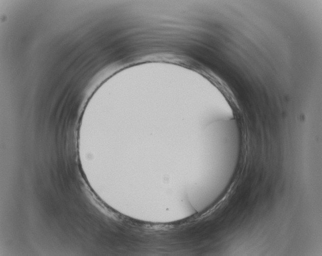 X0000083010808200702231811