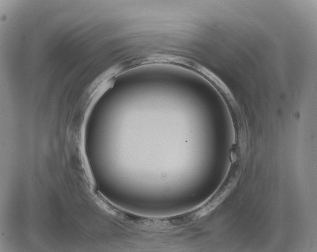 X0000083010809200702231811