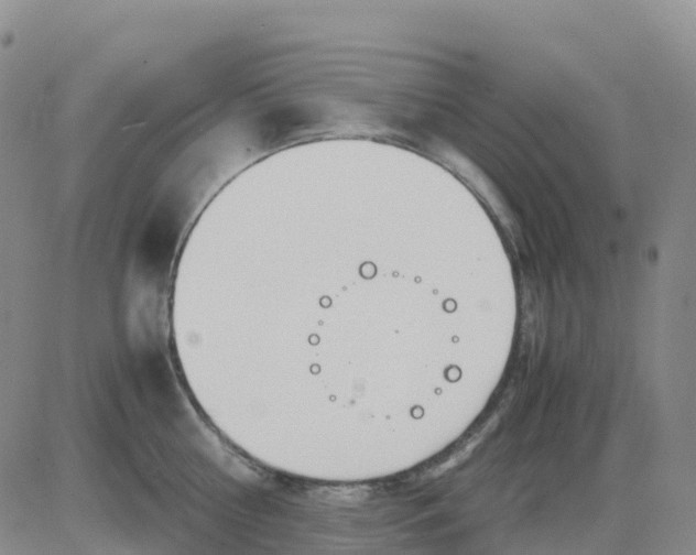 X0000083010810200702231811