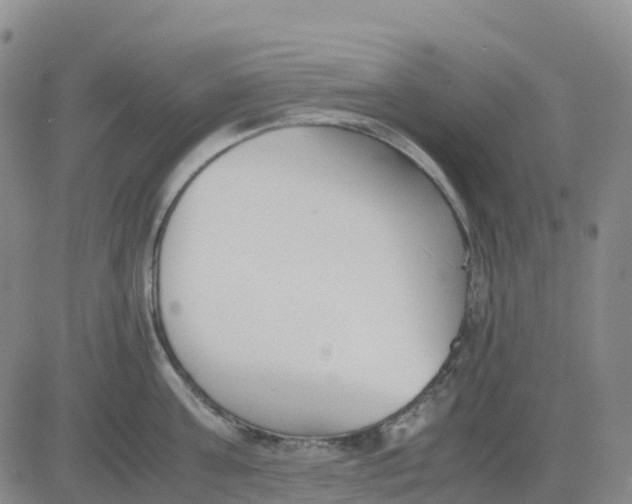 X0000083010811200702231811