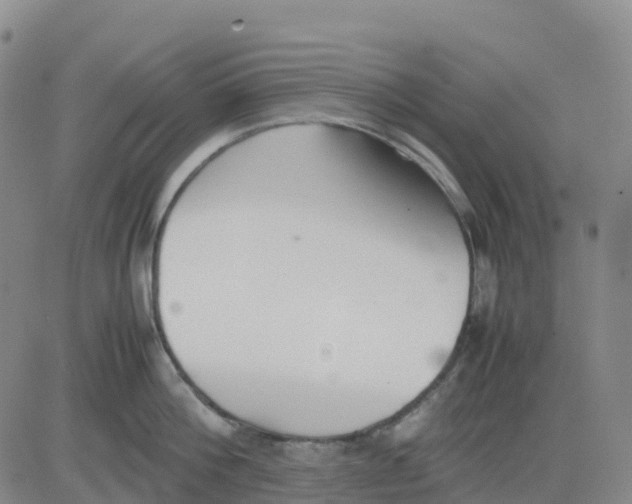 X0000083010812200702231811