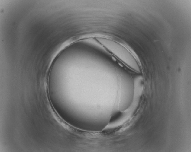 X0000083010813200702231811