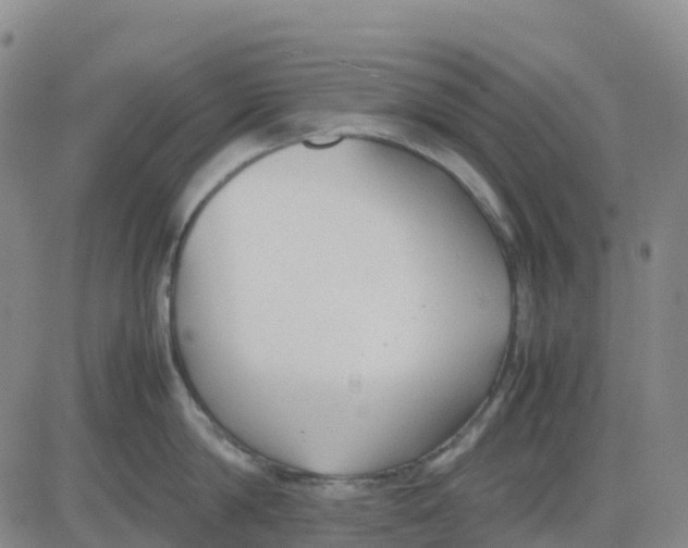 X0000083010814200702231811