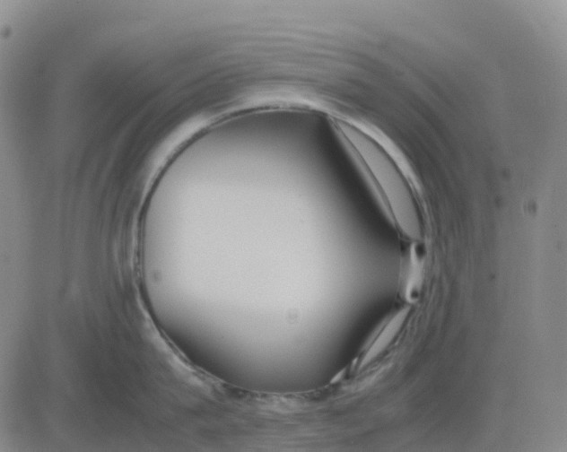 X0000083010815200702231811