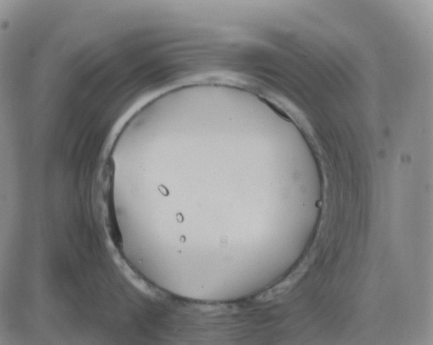 X0000083010816200702231811