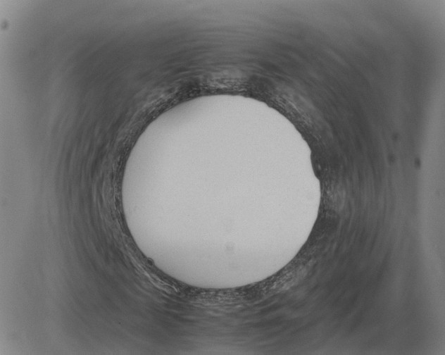 X0000083010817200702231810