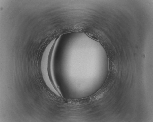 X0000083010818200702231810