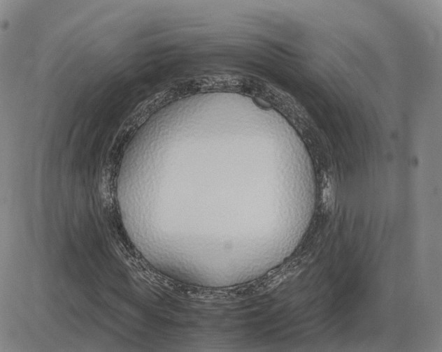 X0000083010819200702231810