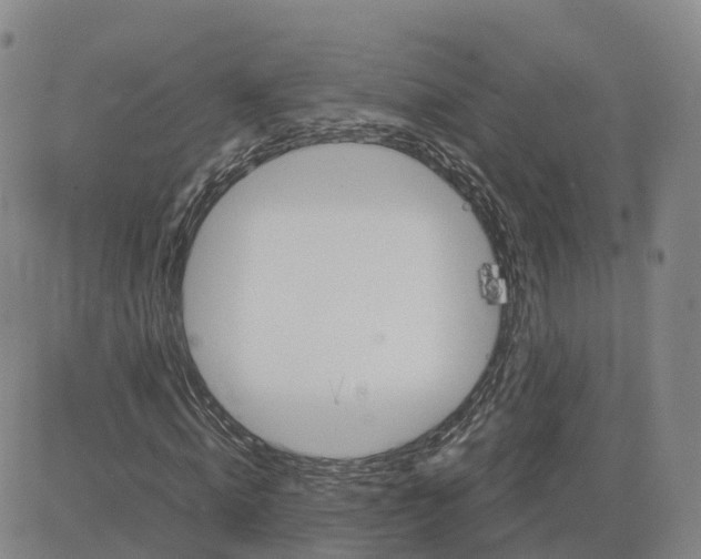 X0000083010820200702231810