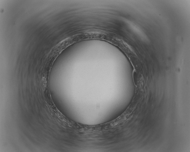 X0000083010821200702231810