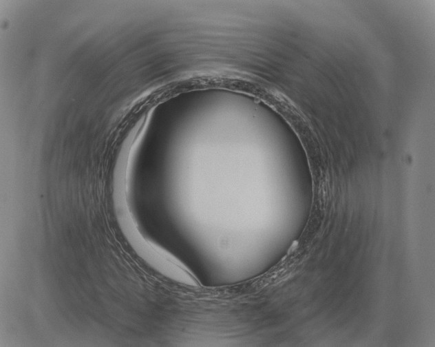 X0000083010822200702231810