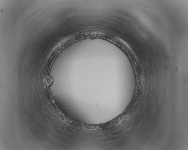 X0000083010823200702231810