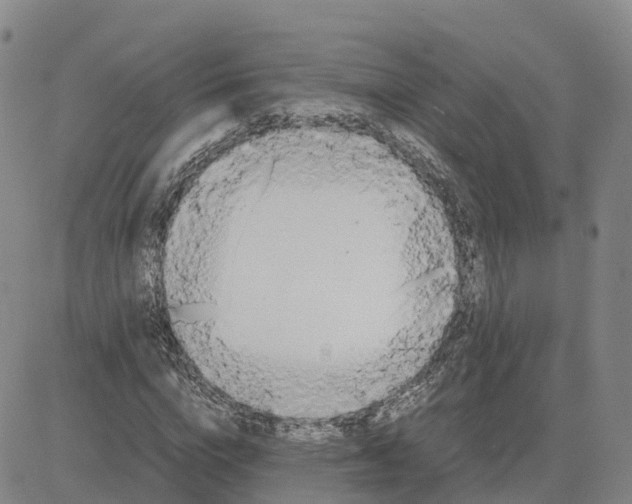 X0000083010824200702231810