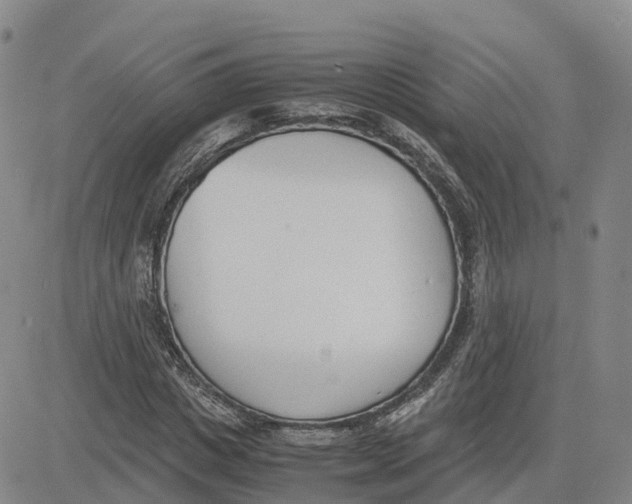 X0000083010825200702231810