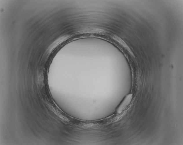 X0000083010826200702231810