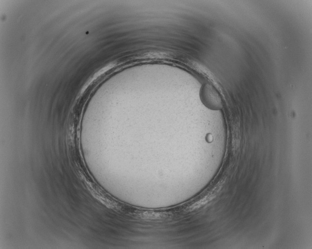 X0000083010827200702231810