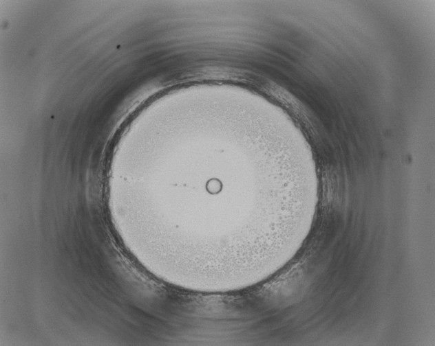 X0000083010828200702231810