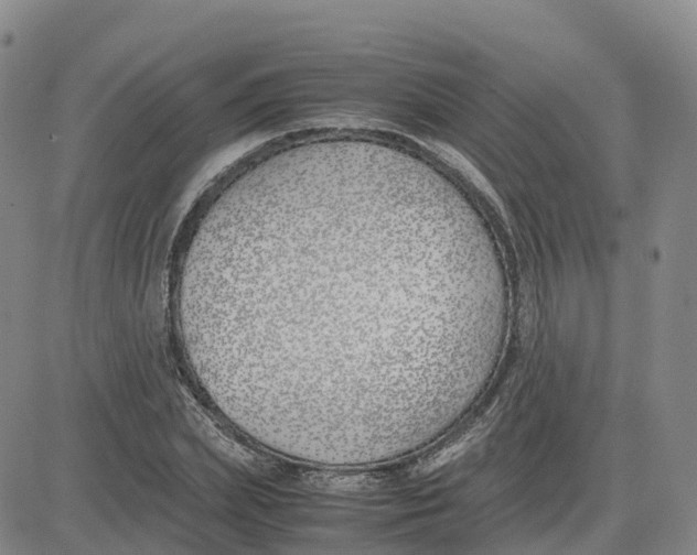 X0000083010831200702231810