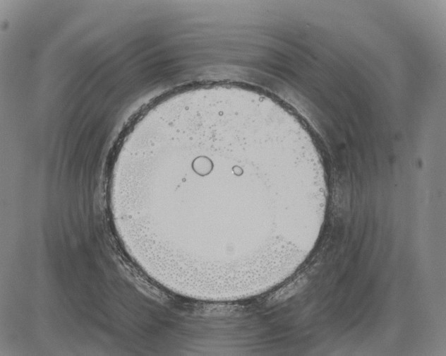 X0000083010832200702231810