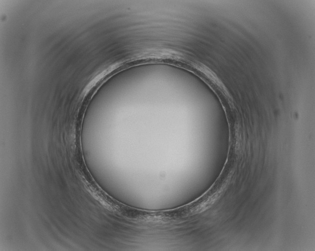 X0000083010834200702231810